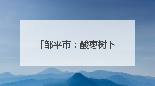 邹平市：酸枣树下“一地多收” 莲藕塘中盘活共富资源