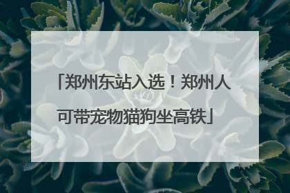 郑州东站入选！郑州人可带宠物猫狗坐高铁