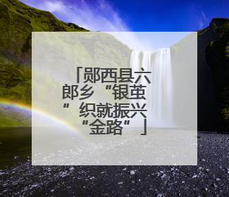 郧西县六郎乡“银茧”织就振兴“金路”