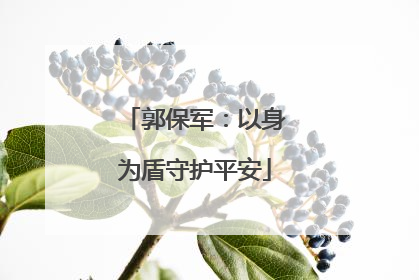 郭保军：以身为盾守护平安