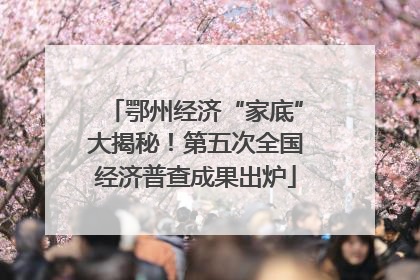鄂州经济“家底”大揭秘！第五次全国经济普查成果出炉