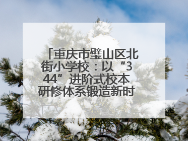 重庆市璧山区北街小学校：以“344”进阶式校本研修体系锻造新时代强师