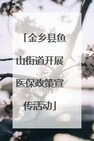 金乡县鱼山街道开展医保政策宣传活动