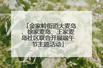 金家岭街道大麦岛、徐家麦岛、王家麦岛社区联合开展端午节主题活动