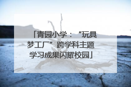 青园小学：“玩具梦工厂”跨学科主题学习成果闪耀校园