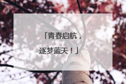 青春启航，逐梦蓝天！