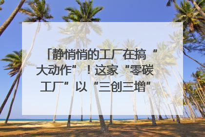 静悄悄的工厂在搞“大动作”！这家“零碳工厂”以“三创三增”探索共富新路径｜网络名人四川行