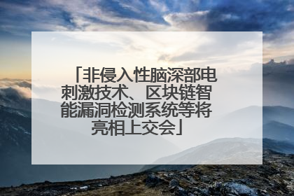 非侵入性脑深部电刺激技术、区块链智能漏洞检测系统等将亮相上交会