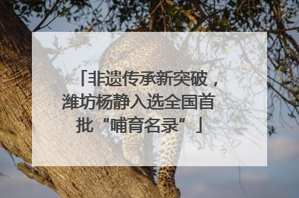 非遗传承新突破，潍坊杨静入选全国首批“哺育名录”