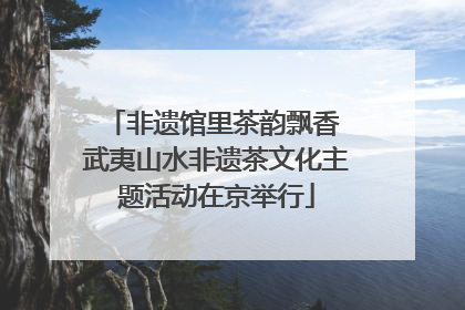 非遗馆里茶韵飘香 武夷山水非遗茶文化主题活动在京举行