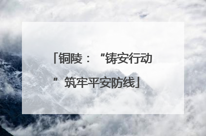 铜陵：“铸安行动”筑牢平安防线