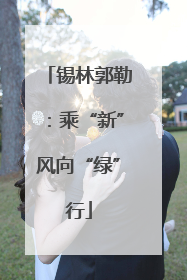 锡林郭勒：乘“新”风向“绿”行