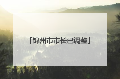 锦州市市长已调整