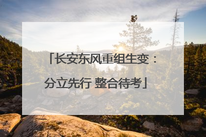 长安东风重组生变：分立先行 整合待考