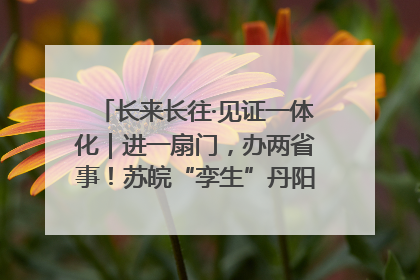 长来长往·见证一体化｜进一扇门，办两省事！苏皖“孪生”丹阳如何做到的？