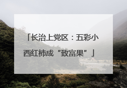 长治上党区：五彩小西红柿成“致富果”