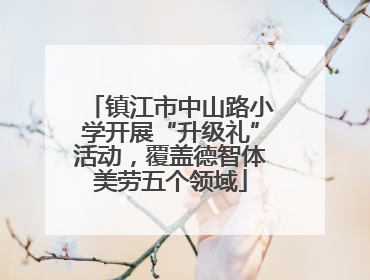 镇江市中山路小学开展“升级礼”活动，覆盖德智体美劳五个领域