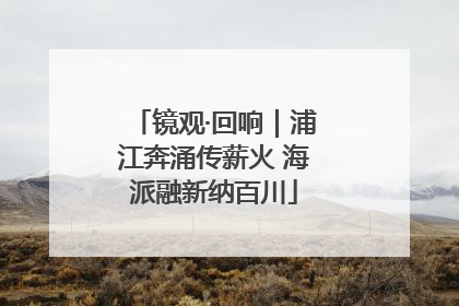 镜观·回响｜浦江奔涌传薪火 海派融新纳百川