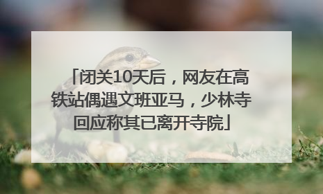闭关10天后，网友在高铁站偶遇文班亚马，少林寺回应称其已离开寺院