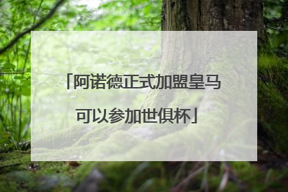 阿诺德正式加盟皇马 可以参加世俱杯