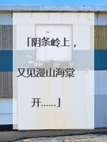 阴条岭上，又见漫山海棠开……