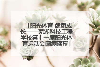 阳光体育 健康成长——芜湖科技工程学校第十一届阳光体育运动会圆满落幕