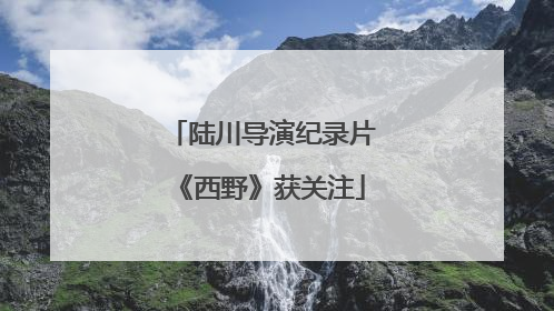 陆川导演纪录片《西野》获关注