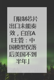 限制芯片出口未能奏效，白宫AI主管：中国模型仅落后美国不到半年
