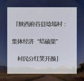 陕西府谷县埝墕村：集体经济“结硕果” 村民分红笑开颜