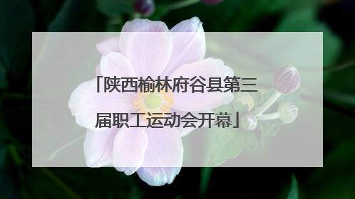 陕西榆林府谷县第三届职工运动会开幕