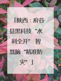 陕西：府谷县黑科技“水利全开” 智慧脑“精准防灾”