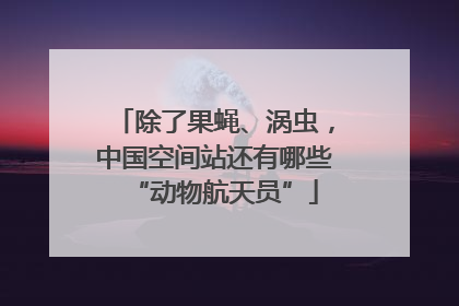 除了果蝇、涡虫，中国空间站还有哪些“动物航天员”