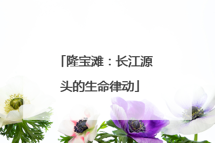 隆宝滩：长江源头的生命律动