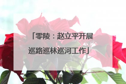零陵：赵立平开展巡路巡林巡河工作