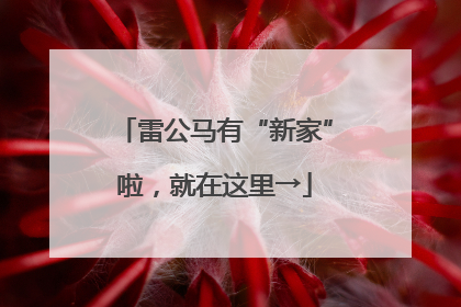 雷公马有“新家”啦，就在这里→
