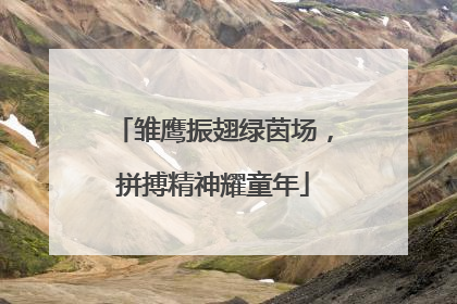 雏鹰振翅绿茵场，拼搏精神耀童年
