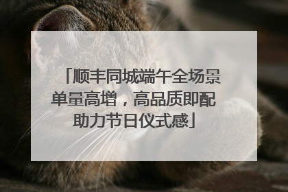 顺丰同城端午全场景单量高增，高品质即配助力节日仪式感