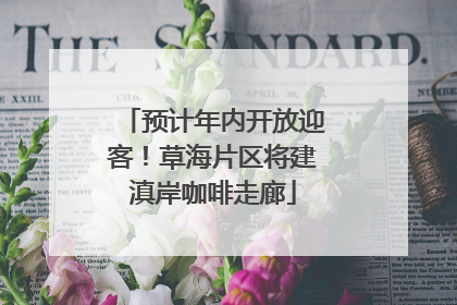 预计年内开放迎客！草海片区将建滇岸咖啡走廊