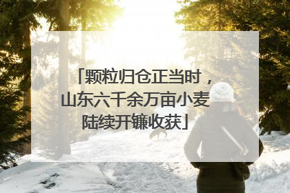 颗粒归仓正当时，山东六千余万亩小麦陆续开镰收获