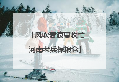风吹麦浪夏收忙 河南老兵保粮仓