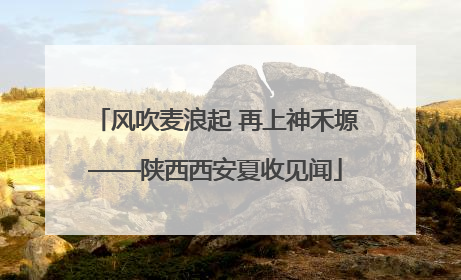 风吹麦浪起 再上神禾塬——陕西西安夏收见闻
