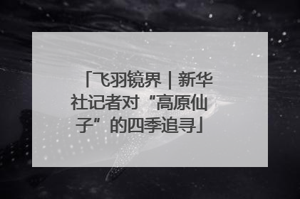 飞羽镜界｜新华社记者对“高原仙子”的四季追寻