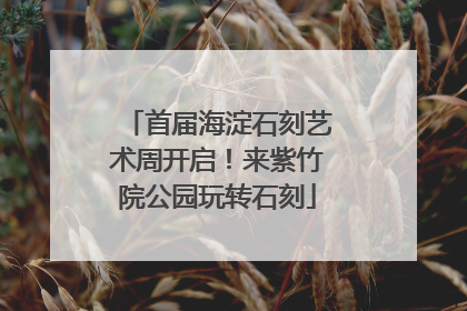 首届海淀石刻艺术周开启！来紫竹院公园玩转石刻