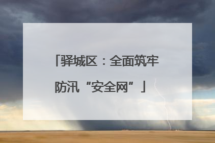 驿城区：全面筑牢防汛“安全网”