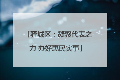 驿城区：凝聚代表之力 办好惠民实事