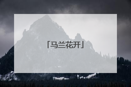 马兰花开