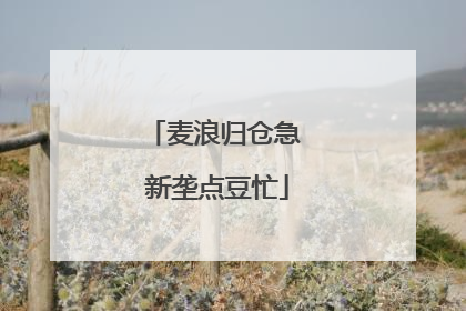 麦浪归仓急 新垄点豆忙