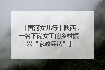 黄河女儿行｜陕西：一名下岗女工的乡村振兴“家政兵法”
