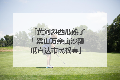 黄河滩西瓜熟了！梁山万余亩沙瓤瓜直达市民餐桌