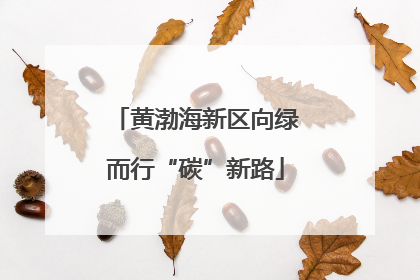 黄渤海新区向绿而行“碳”新路